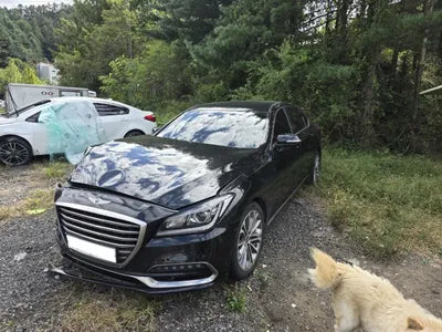 2016 Genesis G80 KMHGL41DBHU179625 VIN:KMHGL41DBHU179625