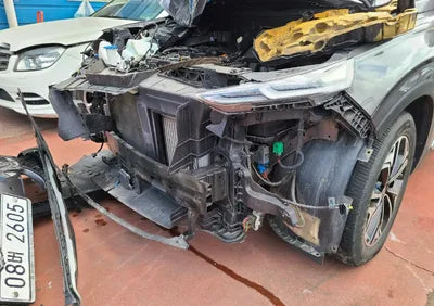 2019 Hyundai Santa FE KMHS281BBKU139725 VIN:KMHS281BBKU139725