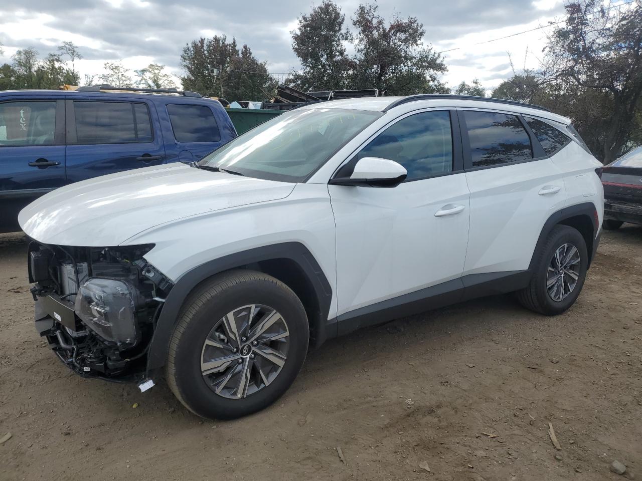 2024 HYUNDAI TUCSON BLUE VIN:KM8JBCD16RU194926