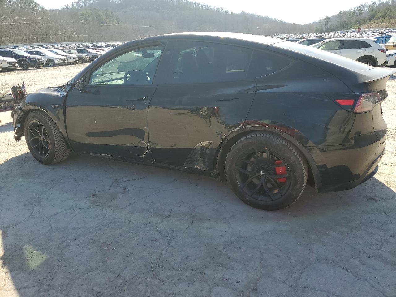 2023 TESLA MODEL Y  VIN:7SAYGDEF1PF867165