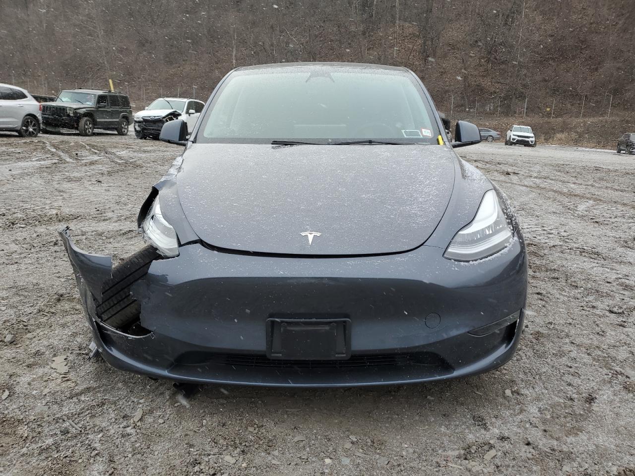 2023 TESLA MODEL Y  VIN:7SAYGDEE8PA043653