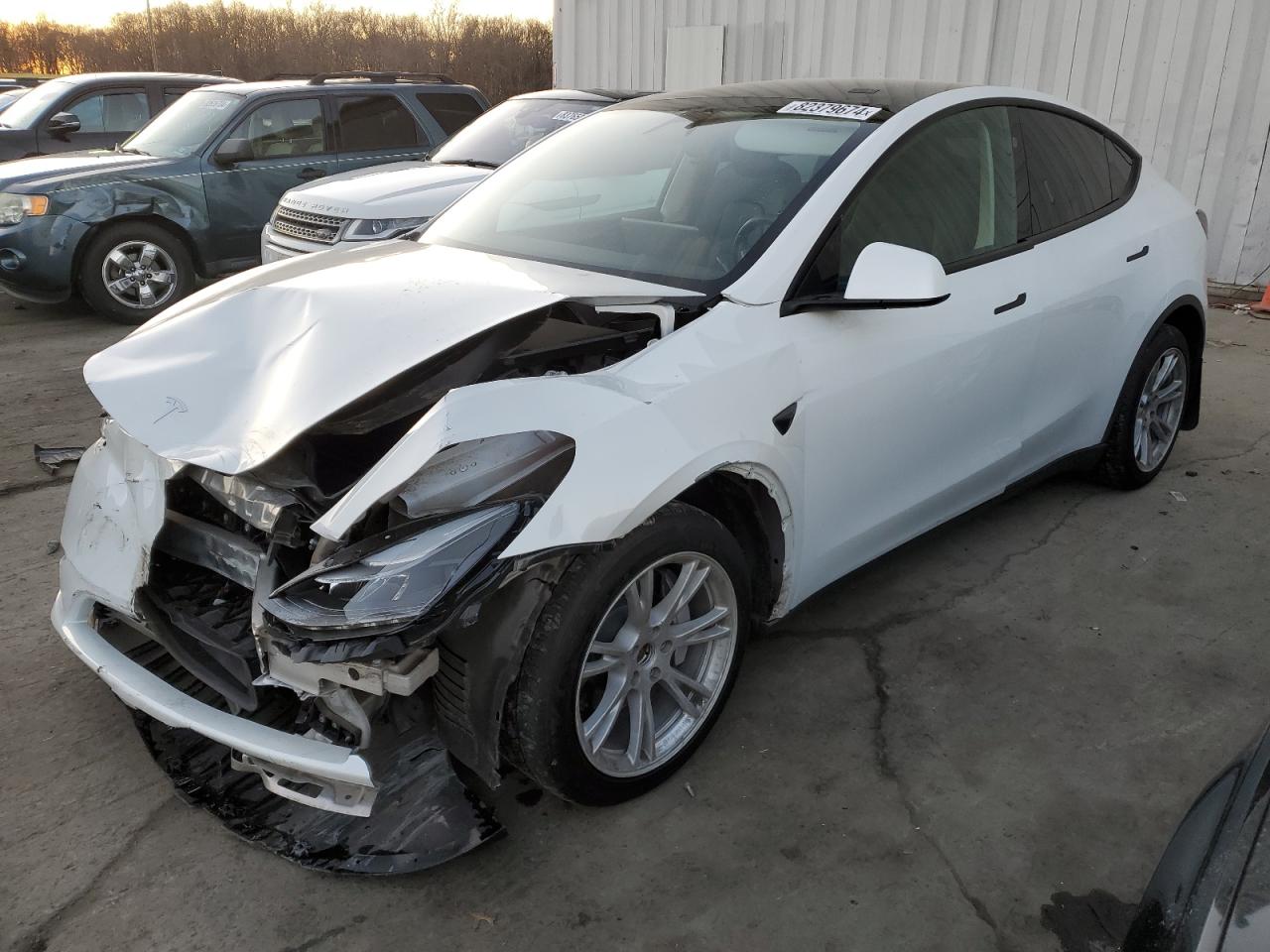 2023 TESLA MODEL Y  VIN:7SAYGDEE6PF799579