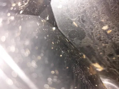 2021 BMW 520 WBA11BH00MCF99696 VIN:WBA11BH00MCF99696