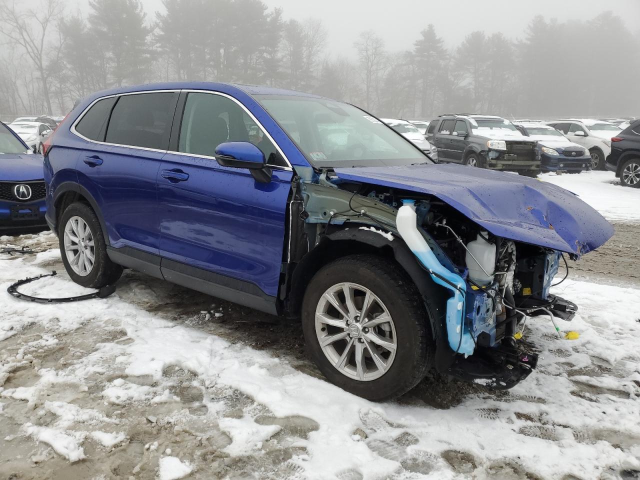 2023 HONDA CR-V EX VIN:2HKRS4H4XPH427876