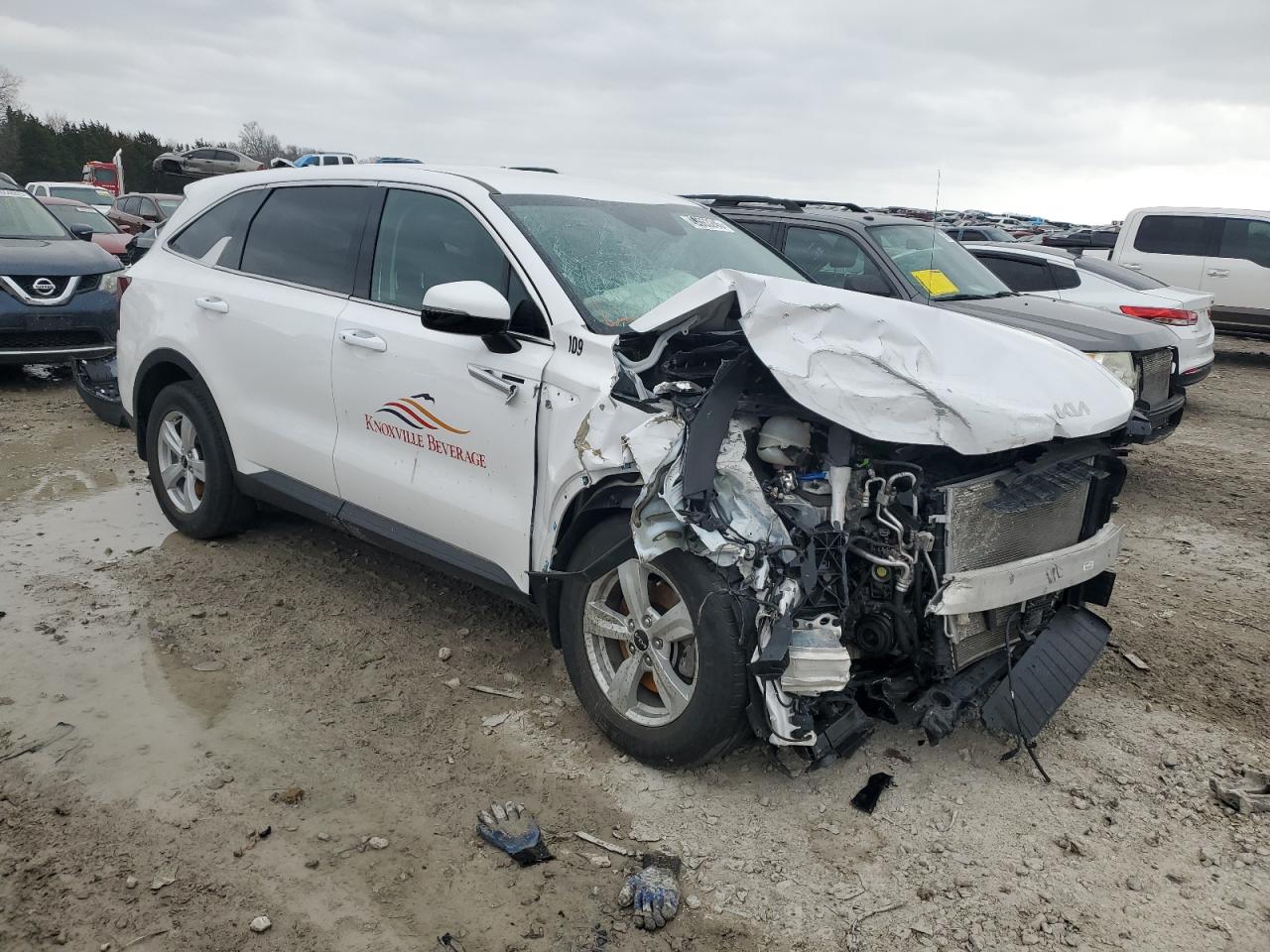 2024 KIA SORENTO LX VIN:5XYRG4JC4RG263330