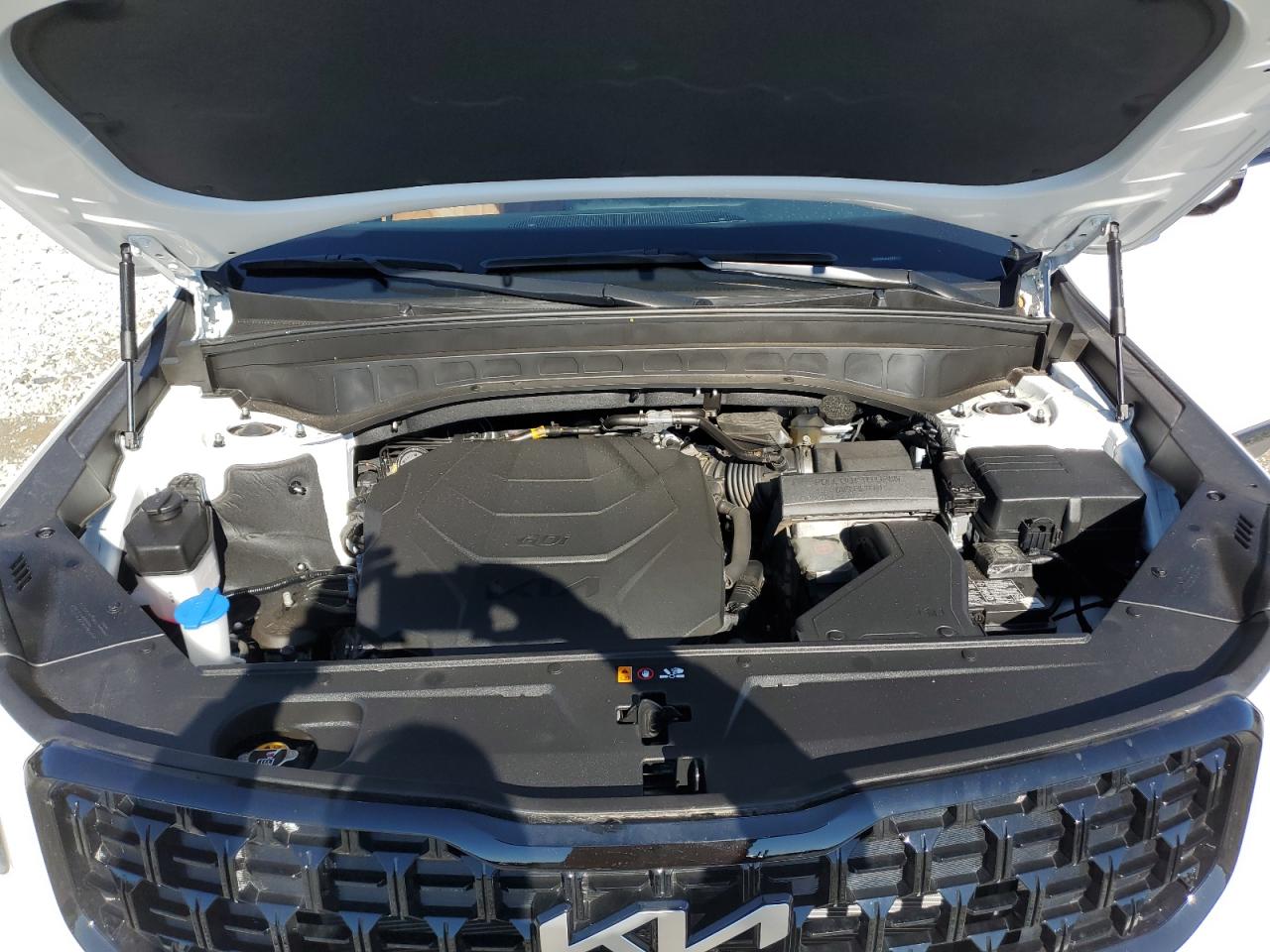2024 KIA TELLURIDE SX VIN:2GNFLFEK8G6310811
