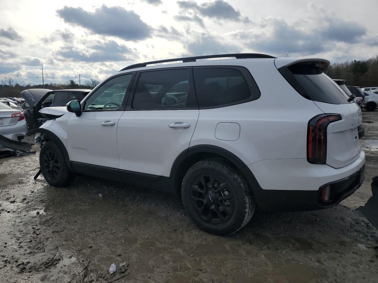 2024 KIA TELLURIDE SX VIN:5XYP5DGC0RG508189
