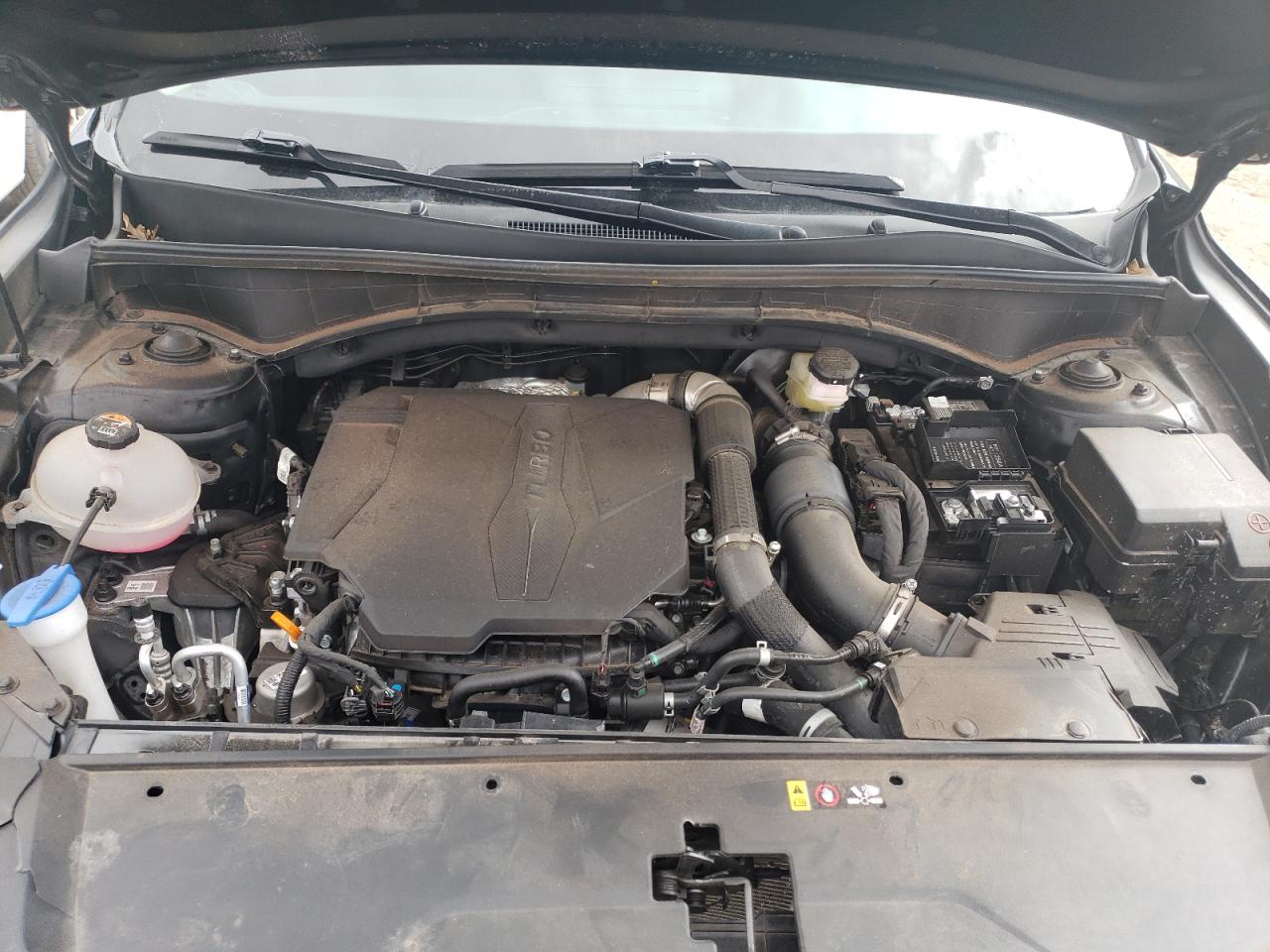 2023 KIA SORENTO SX VIN:5XYRK4LF5PG176491