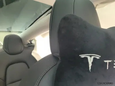2021 Tesla Model 3 VIN: