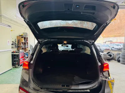 2018 Hyundai Santa FE KMHS581CBKU109769 VIN:KMHS581CBKU109769