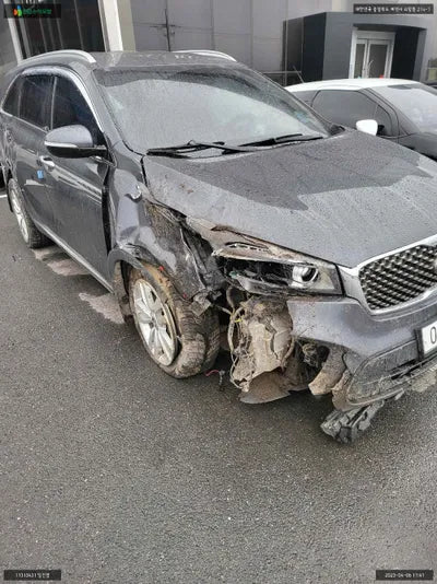2016 Kia Sorento KNAPS81ABHA302496 VIN:KNAPS81ABHA302496