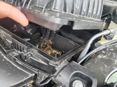 2022 BMW 120 WBA11DG09N5V29792 VIN:WBA11DG09N5V29792