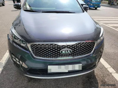 2017 Kia Sorento KNAPS81ABHA326645 VIN:KNAPS81ABHA326645