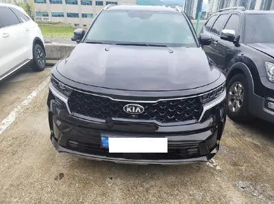 2021 Kia Sorento KNARL81BGMA025224 VIN:KNARL81BGMA025224