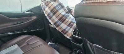 2019 Hyundai Santa FE KMHS581CDKU095358 VIN:KMHS581CDKU095358