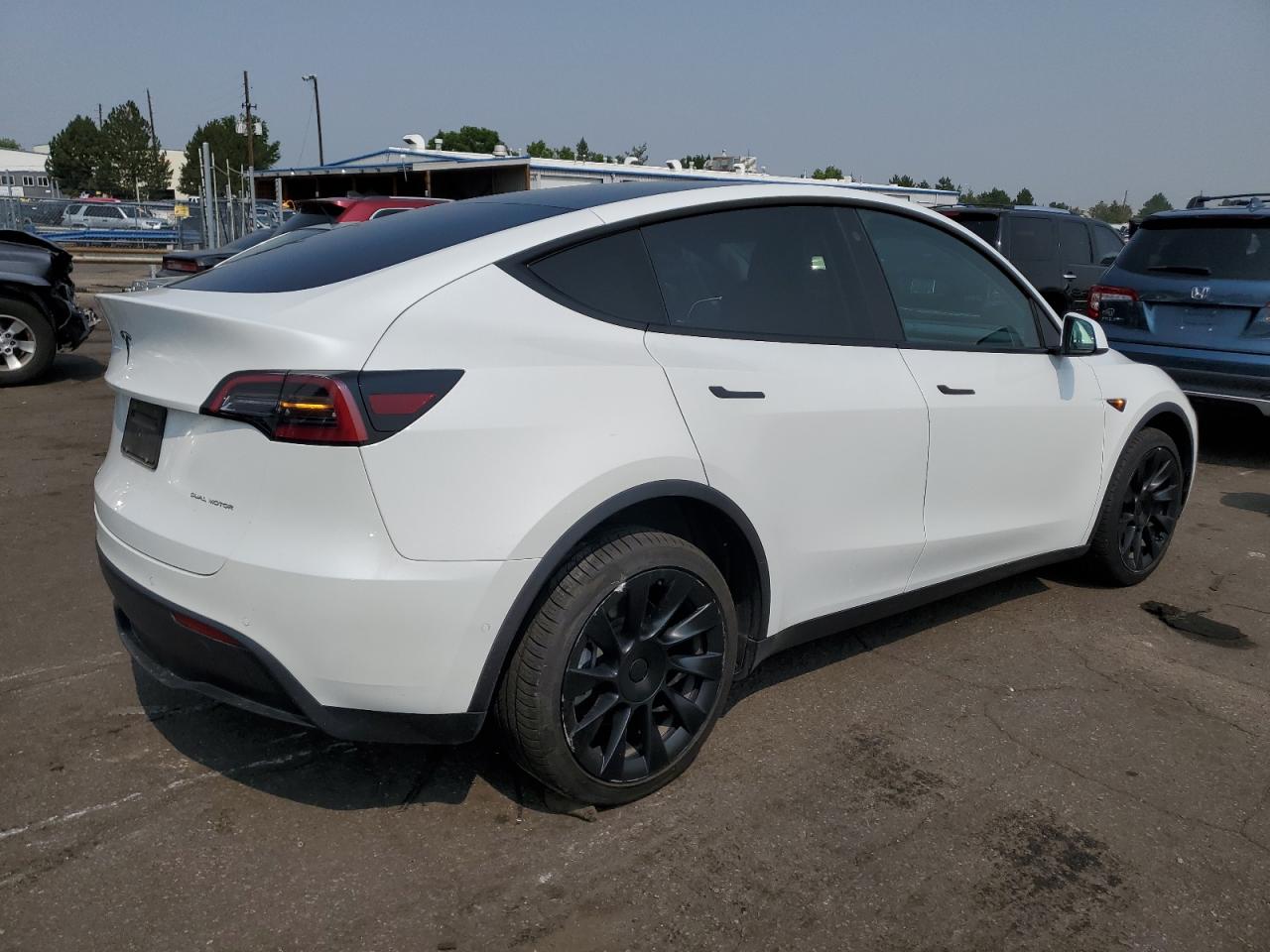 2022 TESLA MODEL Y  VIN:7SAYGDEE6NF321174