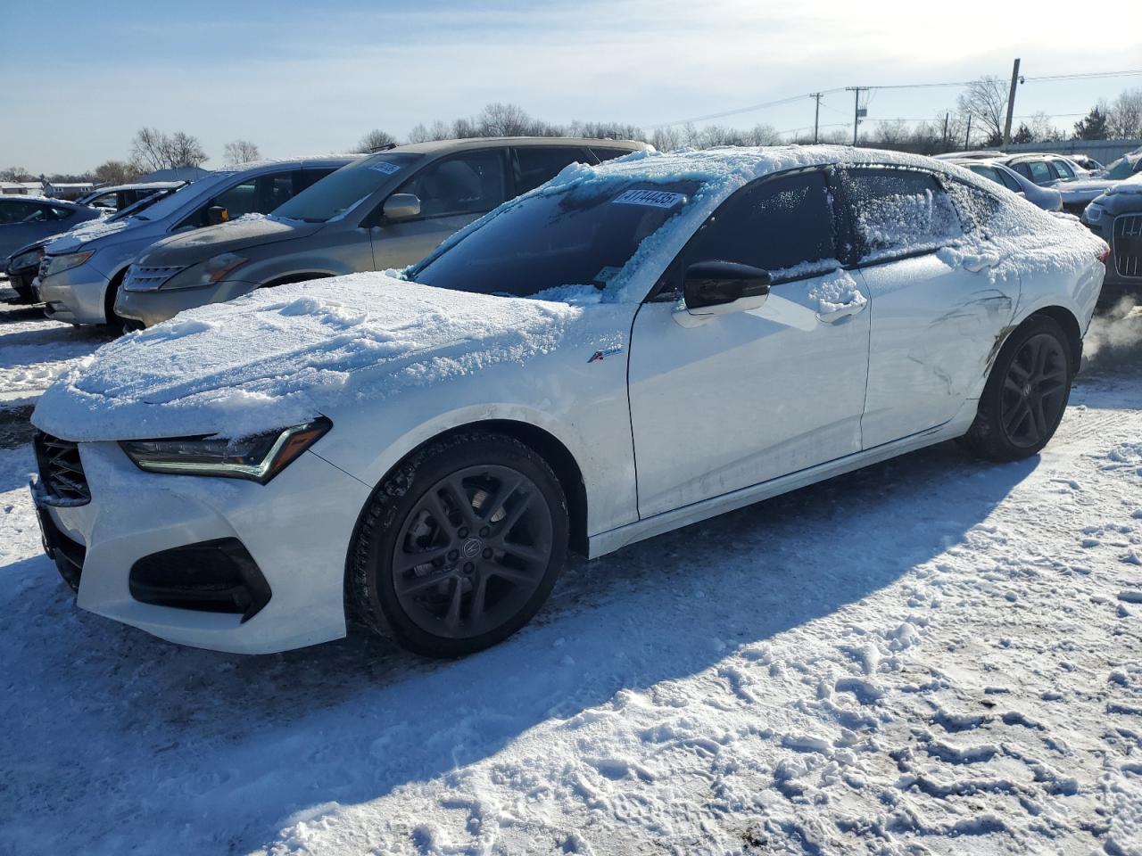 2024 ACURA TLX A-SPEC VIN:1HD1KTP19NB650597