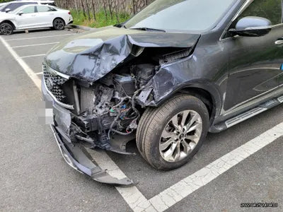 2017 Kia Sorento KNAPS81BDJA401334 VIN:KNAPS81BDJA401334