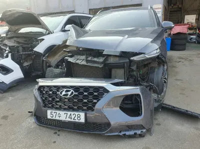 2019 Hyundai Santa FE KMHS381BBKU046289 VIN:KMHS381BBKU046289