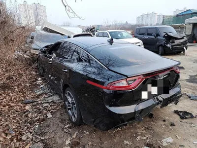 2019 Kia Stinger KNAE351ABKS062346 VIN:KNAE351ABKS062346