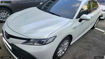 2019 Toyota Camry JTNB21HK0K3023824 VIN:JTNB21HK0K3023824