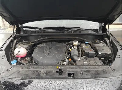 2021 Hyundai Santa FE KMHS381HHMU337382 VIN:KMHS381HHMU337382