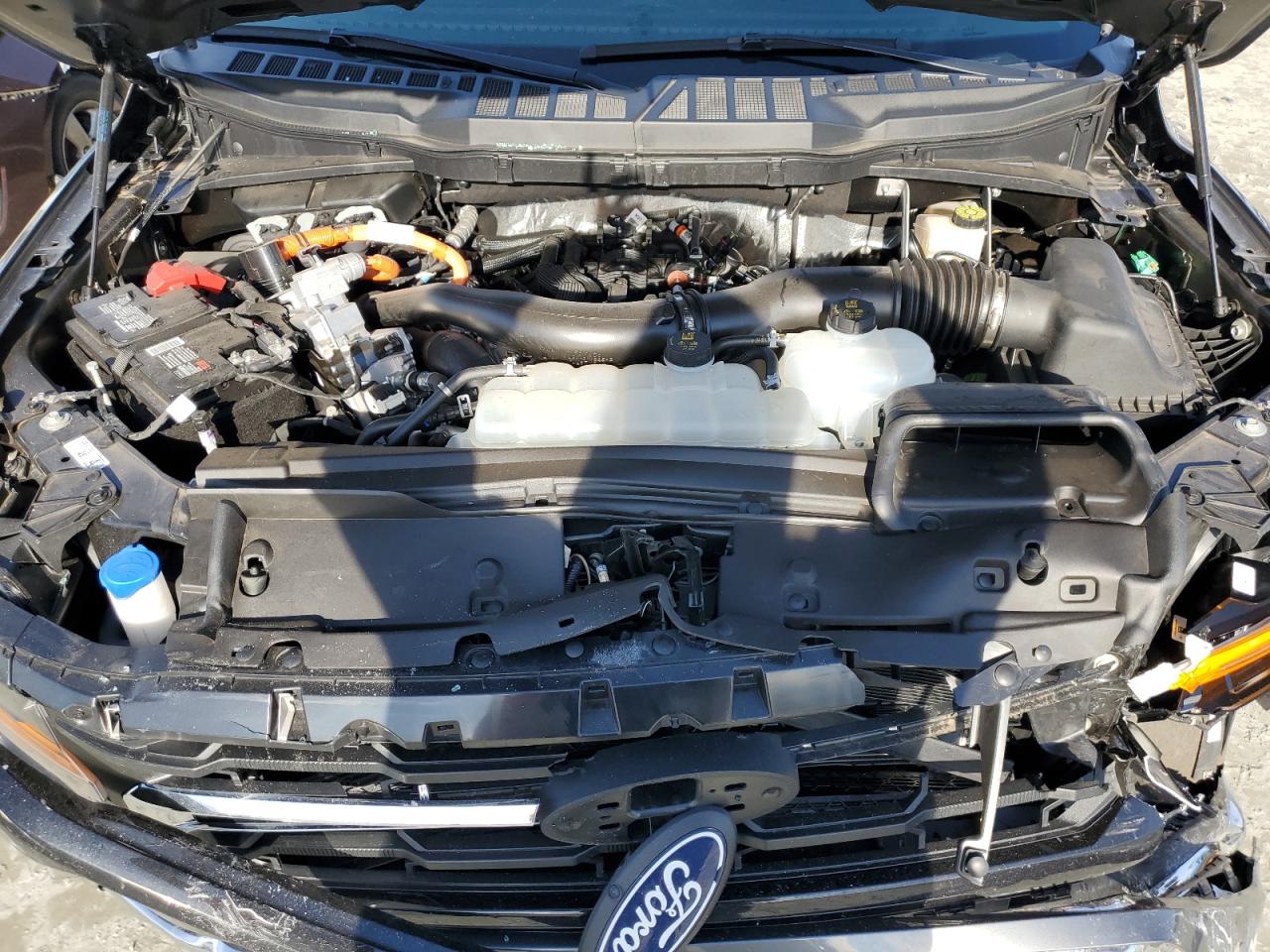 2024 FORD F150 XLT VIN:1FTFW3LD6RFA98874