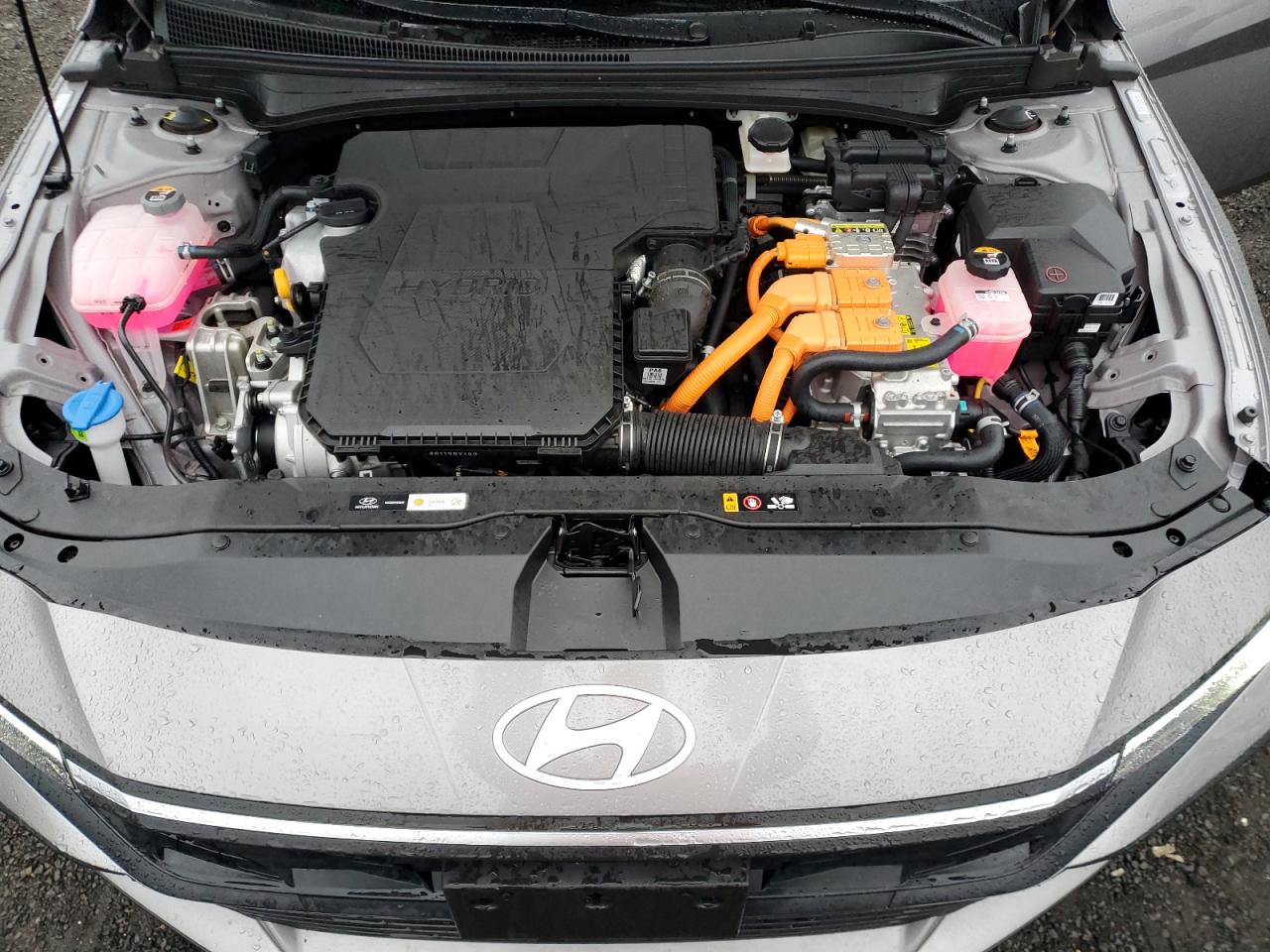 2024 HYUNDAI ELANTRA BLUE VIN:KMHLM4DJ2RU118192