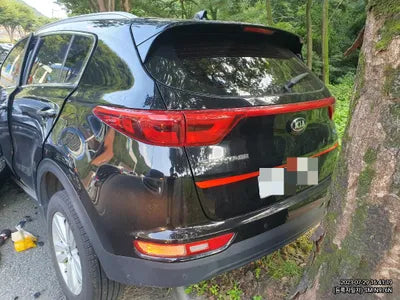 2016 Kia Sportage 149KMKNAP6815GGK0 VIN:149KMKNAP6815GGK0