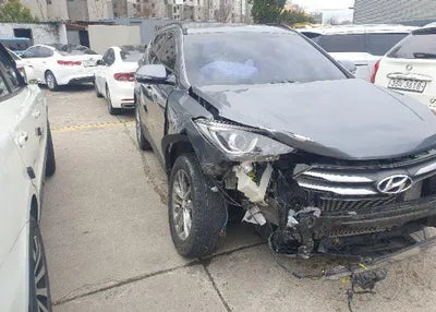 2018 Hyundai Santa FE KMHSW81UBJU832961 VIN:KMHSW81UBJU832961