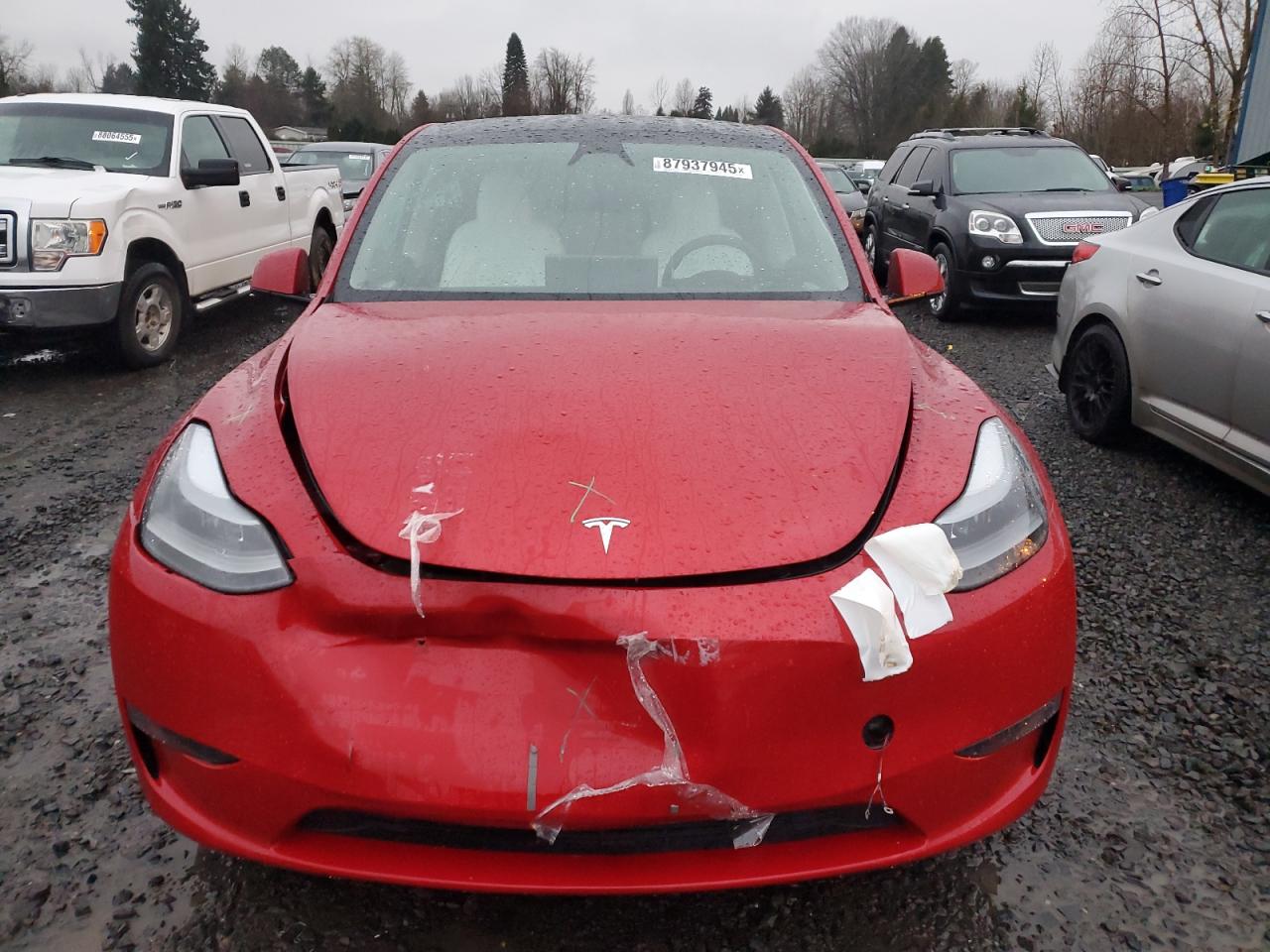 2023 TESLA MODEL Y  VIN:7SAYGAEE0PF888028