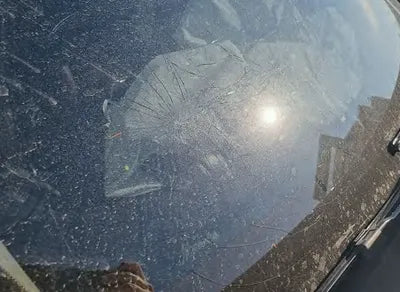 2020 Mercedes-Benz CLS 300 W1K2J1JB5LA070805 VIN:W1K2J1JB5LA070805