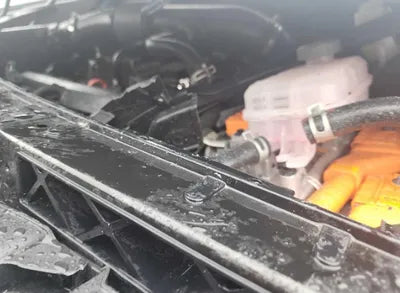 2023 Kia Sorento KNARL81GBPA160134 VIN:KNARL81GBPA160134