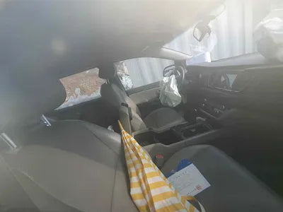 2016 Kia Carnival KNAMB81ABGS176969 VIN:KNAMB81ABGS176969