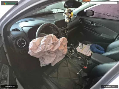 2019 Hyundai Kona KMHK4815HKU300895 VIN:KMHK4815HKU300895