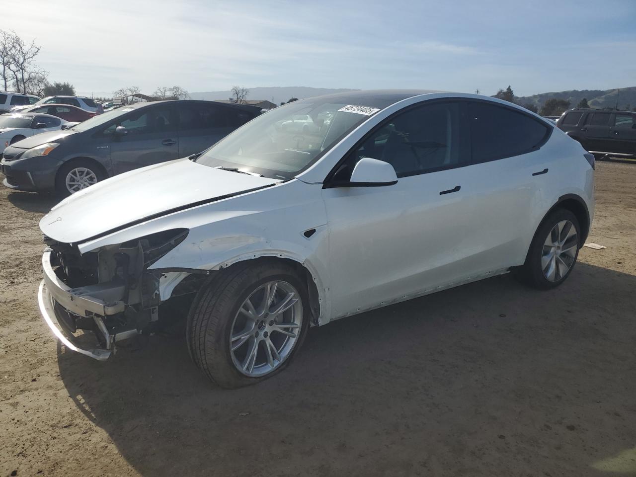 2023 TESLA MODEL Y  VIN:7SAYGDEE9PA119249