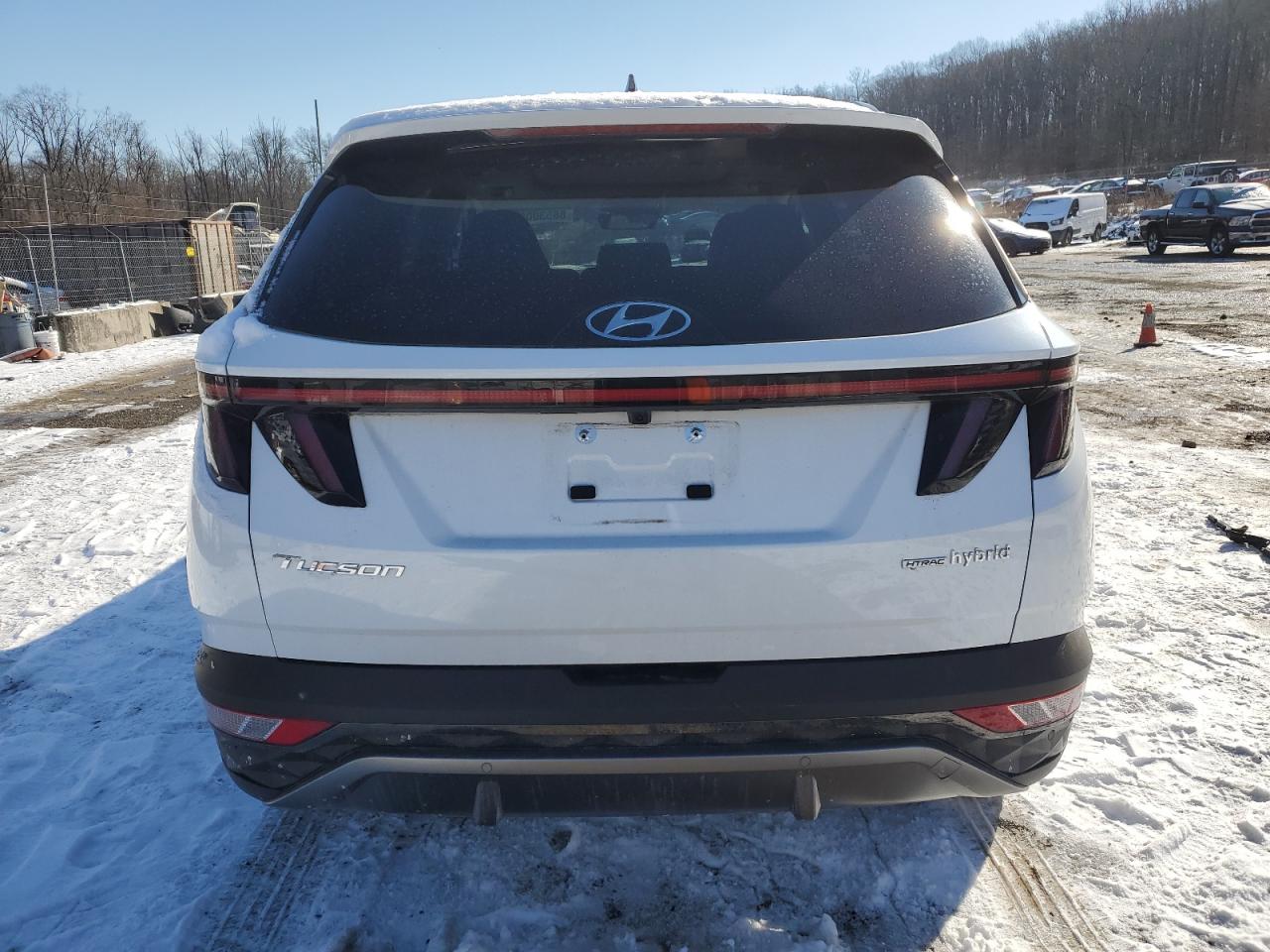 2024 HYUNDAI TUCSON LIMITED VIN:KM8JECD14RU139334