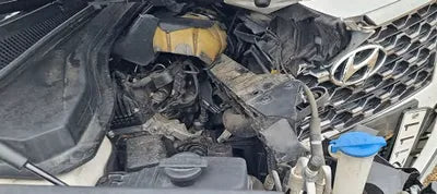 2019 Hyundai Santa FE KMHS381BBKU051777 VIN:KMHS381BBKU051777