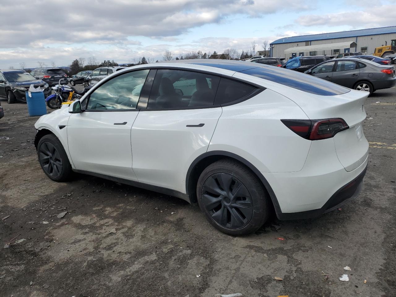 2024 TESLA MODEL Y  VIN:7SAYGAEEXRF185331