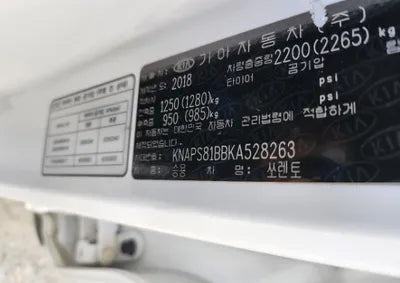 2019 Kia Sorento KNAPS81BBKA528263 VIN:KNAPS81BBKA528263