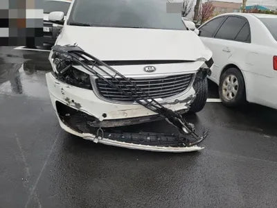 2015 Kia Carnival KNAMC81ABFS051941 VIN:KNAMC81ABFS051941