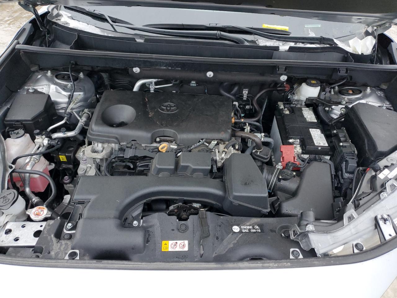 2024 TOYOTA RAV4 XLE VIN:2T3P1RFV1RC409282