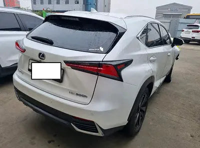 2019 Lexus NX 300 JTJBJRBZ9K2119465 VIN:JTJBJRBZ9K2119465