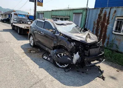 2018 Hyundai Santa FE KMHSW81UBJU850056 VIN:KMHSW81UBJU850056