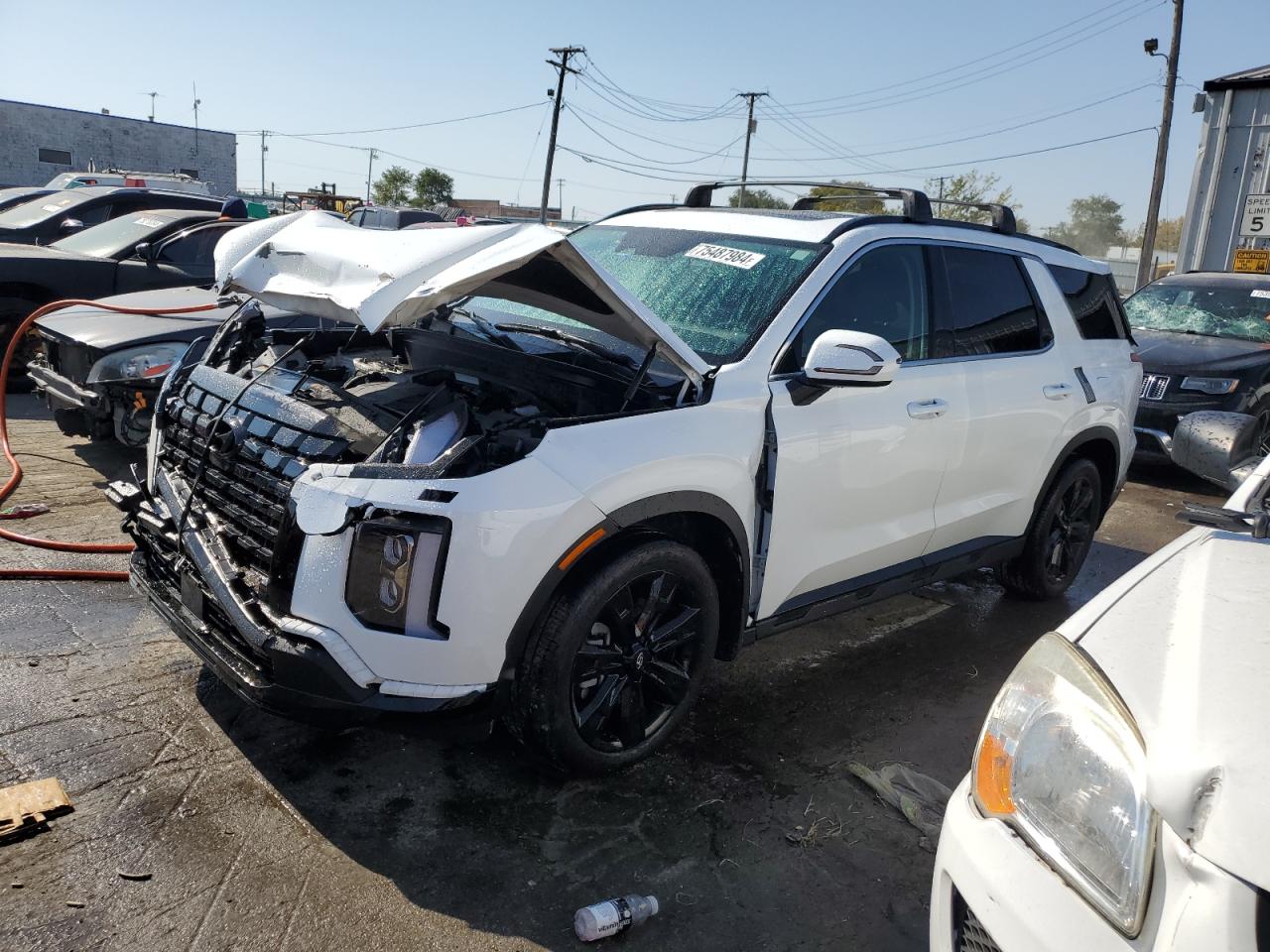 2023 HYUNDAI PALISADE XRT VIN:KM8R3DGE4PU638029