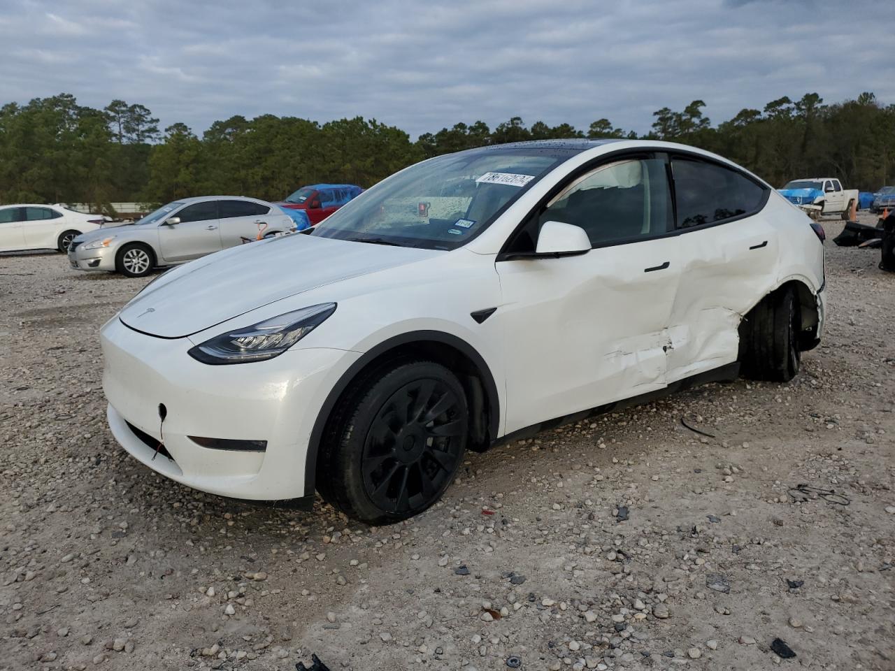 2023 TESLA MODEL Y  VIN:7SAYGDEE4PA061681
