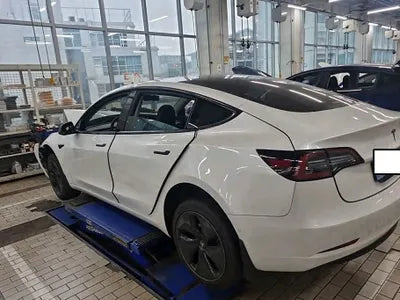 2020 Tesla Model 3 5YJ3E1EB6LF585137 VIN:5YJ3E1EB6LF585137