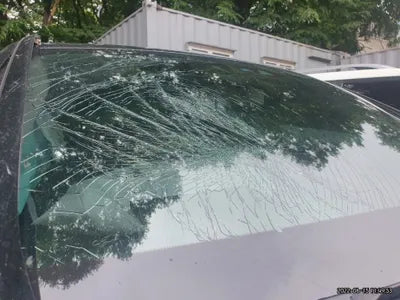 2019 Mercedes-Benz E 220 WDDZF0EB8KA697405 VIN:WDDZF0EB8KA697405