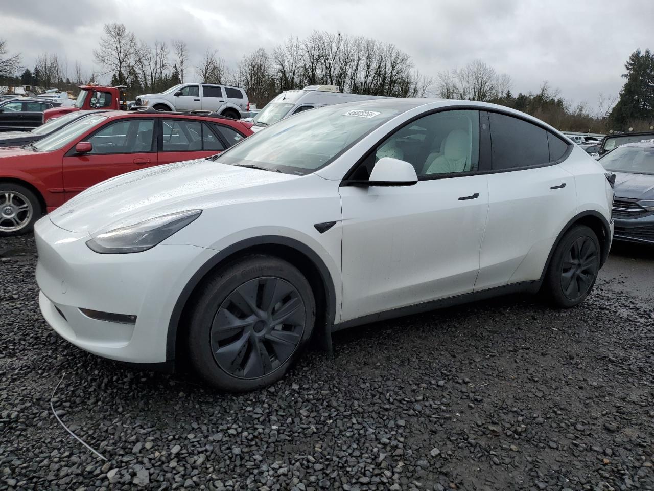 2024 TESLA MODEL Y  VIN:7SAYGDEE5RF115706