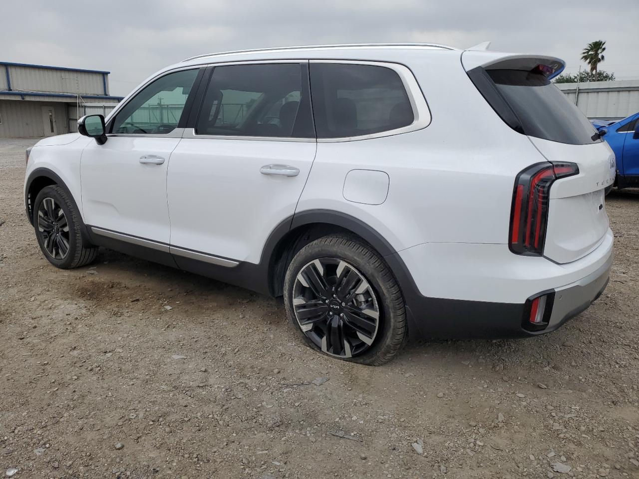 2024 KIA TELLURIDE SX VIN:5XYP54GCXRG431122